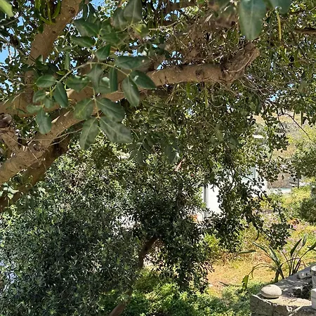Oxalis Mykonos Apartments Plintri Exterior photo